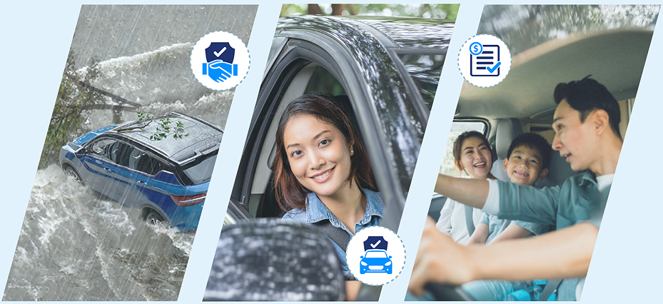 partner-insurer